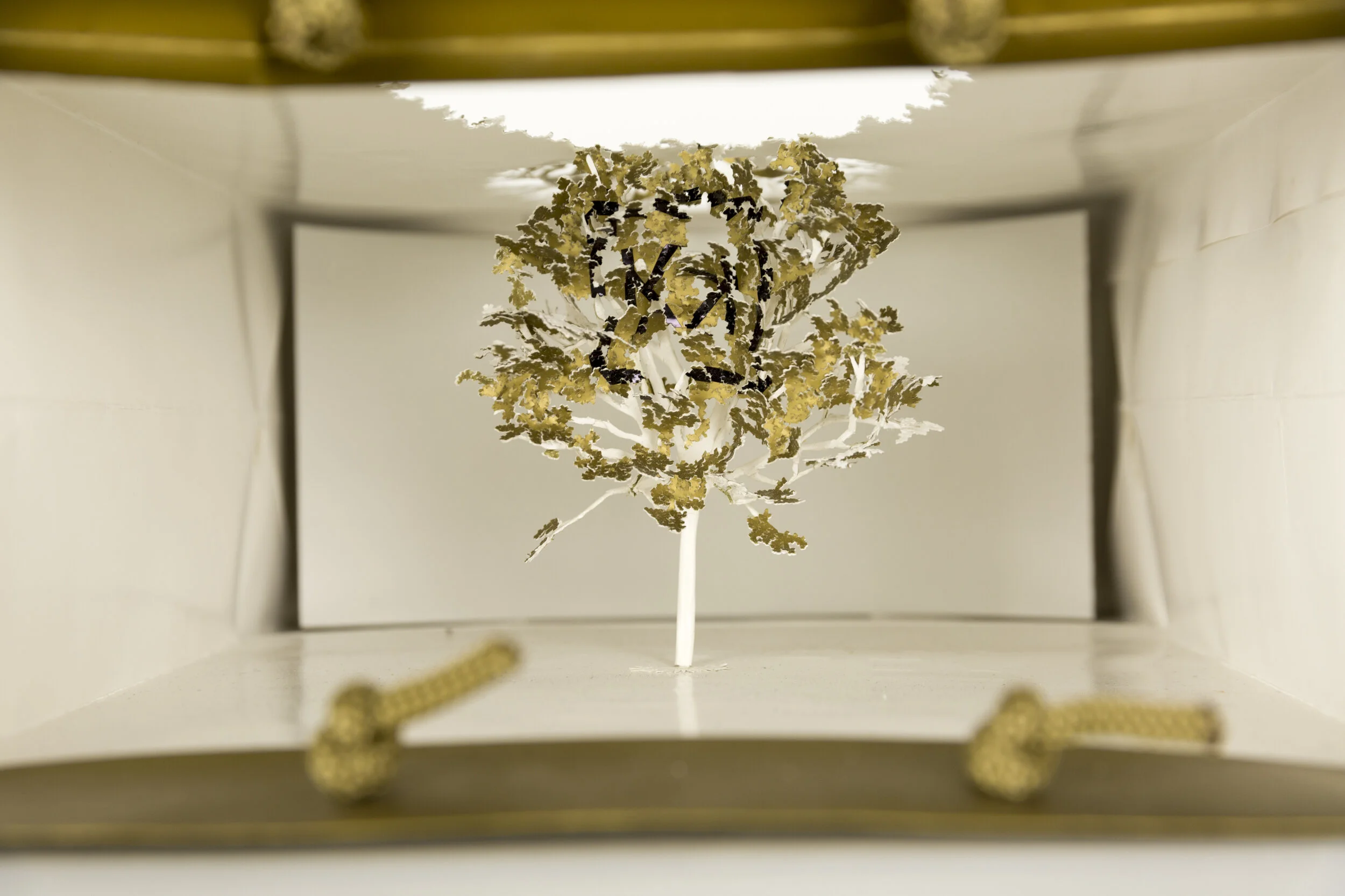 Yuken Teruya — Piero Atchugarry Gallery